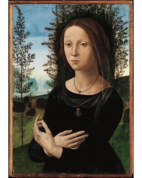 В искусстве раннего ренессанса (и немного в зрелом достаточно много портретов с кольцами одного запоминающегося типа. Модели этих портретов не носят на пальцах, а держат в руках.Но большинство