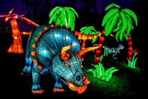 Красочные световые инсталляции в Кёльнском зоопарке В зоопарке Кёльна, Германия, зажглись световые скульптуры и инсталляции в рамках фестиваля света China Light Festival, который продлится до 9