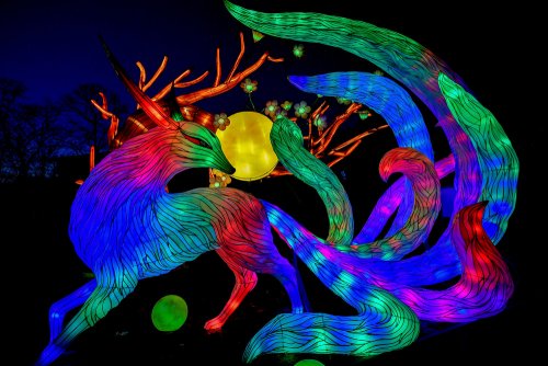 Красочные световые инсталляции в Кёльнском зоопарке В зоопарке Кёльна, Германия, зажглись световые скульптуры и инсталляции в рамках фестиваля света China Light Festival, который продлится до 9