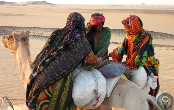 Таинственное племя Тубу На стыке трех государств Ливии, Нигера и Чада, в самом сердце пустыни Сахара обитает тубу (тиббу) загадочное племя, одно из древнейших в Африке. Больше всего удивляет то,