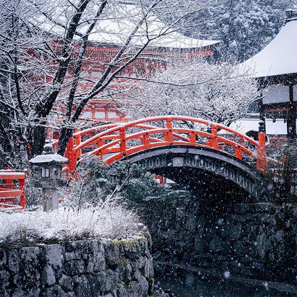 Япония известна своей яркой сменой сезонов: весной там цветет сакура, осенью розовеют клены Зимой же многие регионы страны покрываются белым снегом, превращаясь в настоящее царство Снежной