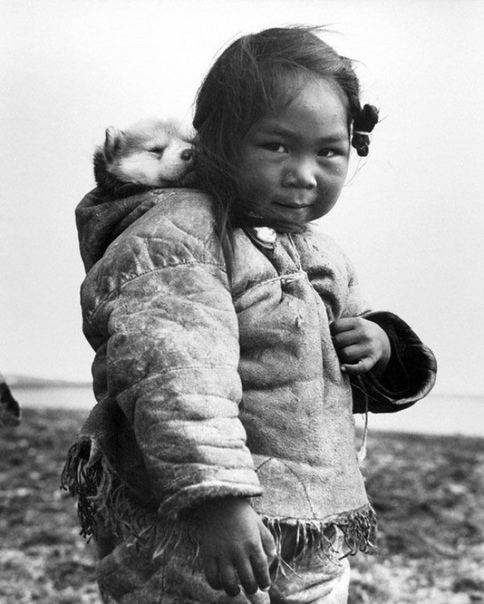 Милое фото маленькой эскимоски с её хаски.