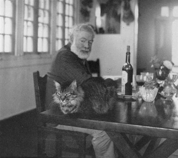 Шестипалые талисманы Эрнеста Хемингуея На момент смерти писателя у него было 57 кошек и все они были шестипалыми. Известно, что такие котики считаются «талисманами удачи» для моряков и