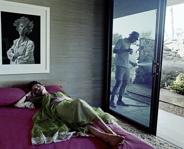 «Domestic Bliss» серия фотографий 2005 года являет собой сотрудничество модного фотографа Стивена Кляйна и известного голливудского актера Брэда Питта Вдохновением для фотосессии послужила так
