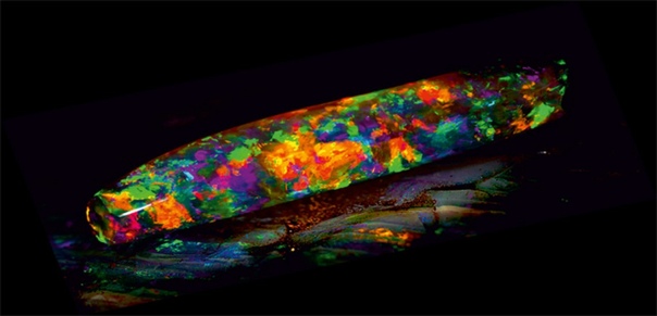 Радуга девы - опал за 1 000 000 $ Самым красивым и совершенным опалом в мире считается Девственная радуга или Радуга девы. Это удивительный камень, который переливается всеми цветами радуги.