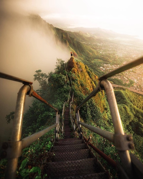 Лестница Хайку (Остров Оаху, Гавайи) Фото: Nash Hagen