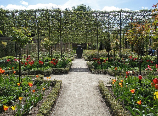 Алник: уникальный ядовитый сад Ни для кого не секрет, что растения помогают человечеству выжить. Но не всякое растение приятное и полезное. В замке Алник в Нортумберленд, Англия есть ядовитый