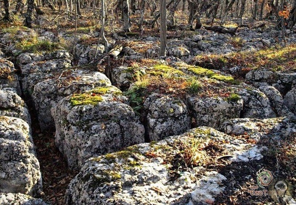 Древние тайны горы Бойко в Крыму Живописный горный массив Бойко, пологие южные склоны которого смотрят в сторону Большого Каньона, издавна привлекает внимание не только археологов, но и