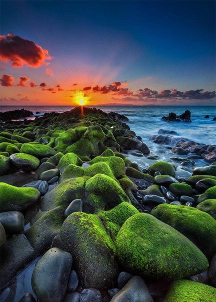 Восход солнца на острове Мадейра Фото: Miguel Nobrega