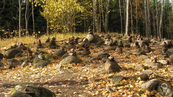 Мистический Покайнский лес и племя Земгалов В Южной части Латвии расположена историческая область Земгале, на территории которой когда-то проживало древнее балтийское племя земгалов. Эта область