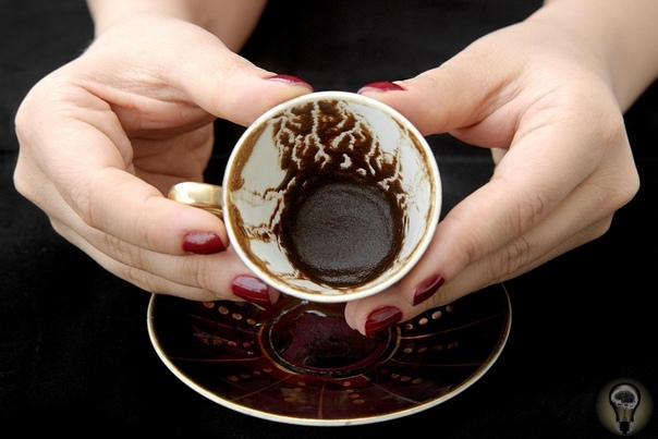 10 веских причин, которые убедят тебя не выбрасывать кофейную гущу