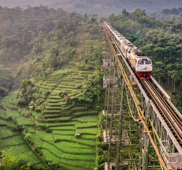 Железнодорожный мост Чикубанг, Западная Ява, Индонезия Фото: daniel dahni