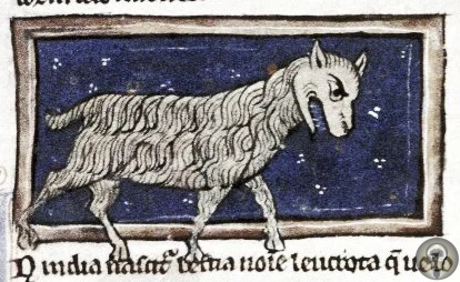 Пять странных зверей из Средних веков 1. Онокентавр Просто кентавра мы знаем - это гибрид человека и коня, а онокентавр - гибрид человека и осла. Считалось, что верхняя часть онокентавра