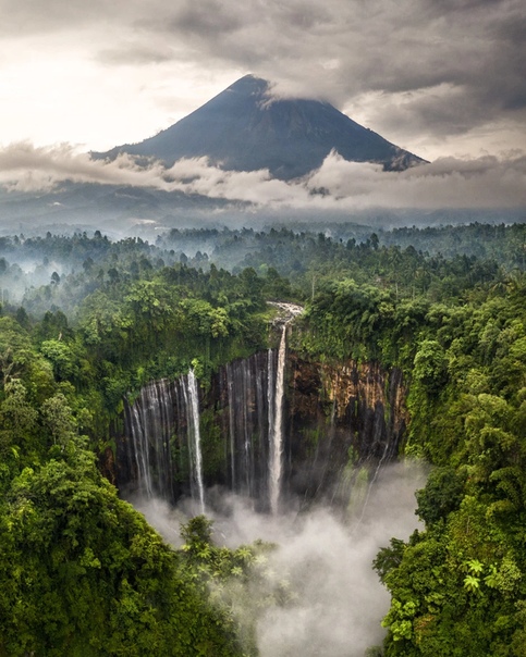Водопад Тумпак Севу (Индонезия, Ява) Фото: Hugo Healy