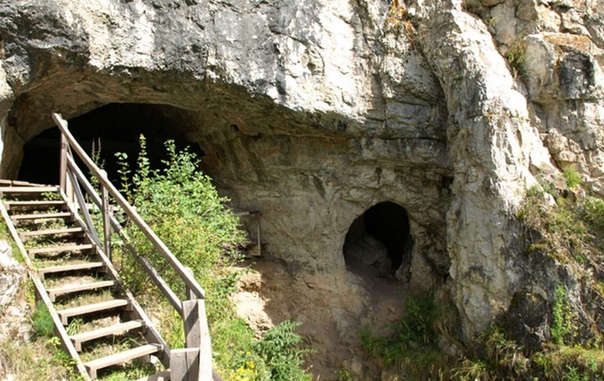 НАСТОЯЩИМИ ХОЗЯЕВАМИ ДЕНИСОВОЙ ПЕЩЕРЫ ОКАЗАЛИСЬ ПЕЩЕРНЫЕ ГИЕНЫ И ВОЛКИ Основными обитателями Денисовой пещеры на Алтае, где были обнаружены останки денисовцев, оказались не люди, а крупные
