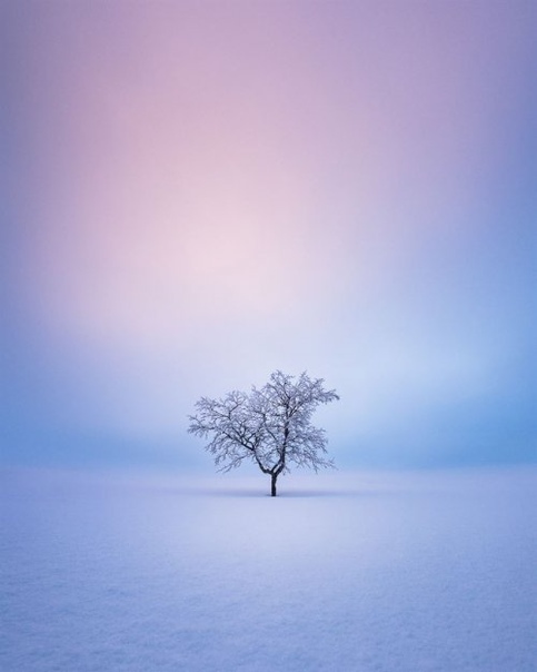 Фотограф делает идеальные снимки одиноких деревьев на фоне безмятежных финских пейзажей Фотограф Микко Лагерштедт (Mio Lagerstedt) по-настоящему влюблён в природу. Недавно он запечатлел тихую