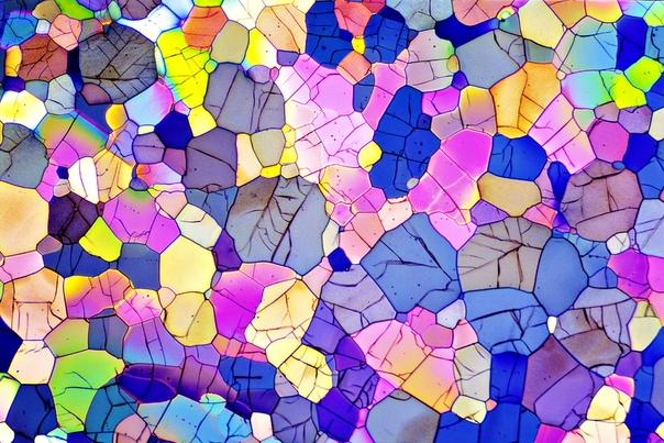 Кристаллы кофеина, снятые с помощью поляризационного микроскопа.