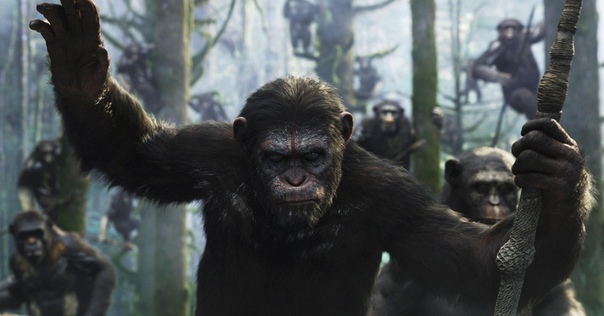 Новая часть «Планеты обезьян» официально в разработке Deadline сообщает, что 20th Century Fox наняли Уэса Болла, ответственного за франшизу «Бегущий в лабиринте», на пост постановщика