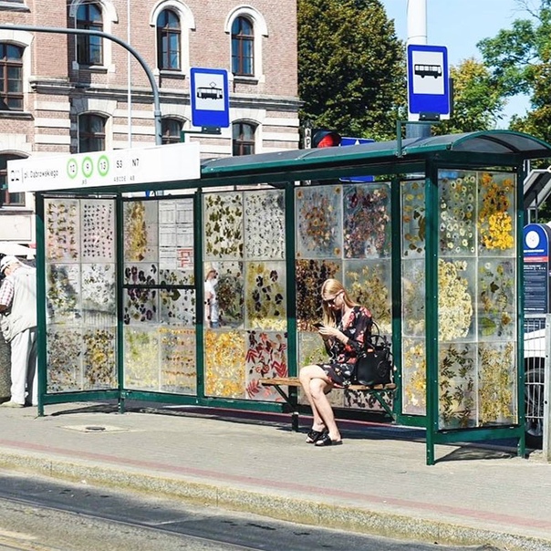 Жители города Лодзь (Польша , которые пользуются общественным транспортом, теперь могут ежедневно наслаждаться творением художницы Доминики Цебулы. Она превратила трамвайную остановку на площади