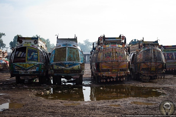 Пакистанские грузовики: шедевры на колесах. часть 1Многие водители души не чают в своем «железном коне», заказывают различные виды тюнинга, украшают его аэрографией. Но все же лишь немногие