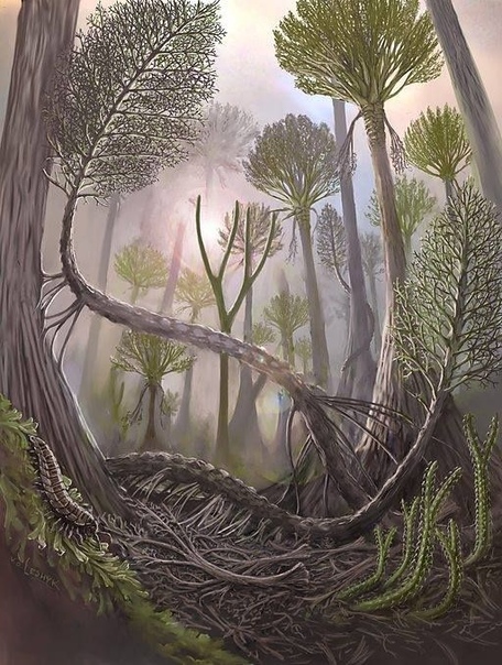 В Нью-Йорке найдены остатки самого древнего ископаемого леса на планете Палеоботаник Кристофер Берри из Университета Кардиффа в Великобритании подтвердил, что ископаемые корни, найденные в