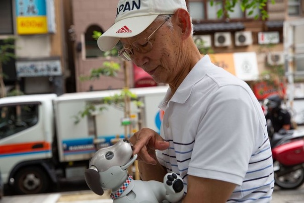 В Японии набирают популярность вечеринки для роботов-собак Aibo