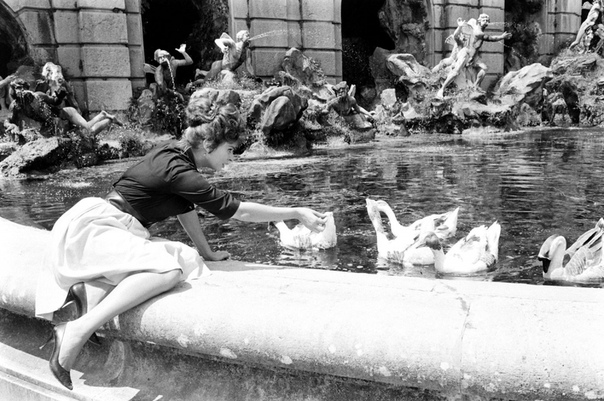 Любительские фото Софи Лорен 20 сентября 1934 года в Риме родилась будущая звезда мирового кино и одна из самых красивых женщин в мире София Виллани Шиколоне. Среди фотографов, всю жизнь