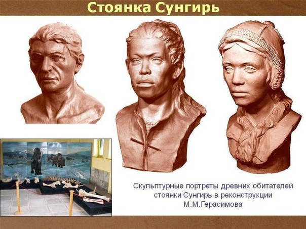 Сунгирь: ученые показали, как выглядели люди, жившие под Владимиром 30 000 лет назад Очень часто именно строители, а не археологи, становятся авторами грандиозных открытий. Во время