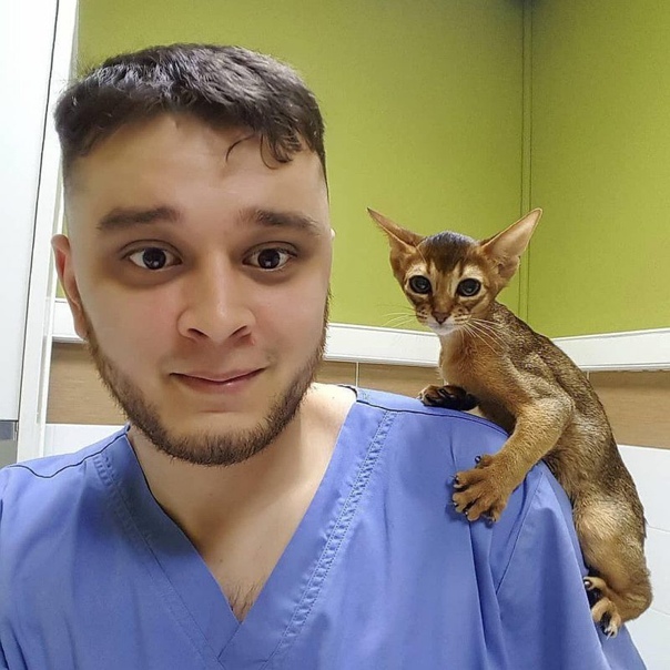 Ветеринару, спасающему животных от эвтаназии, грозит тюрьма 26-летний Баграт Агажанов из Челябинска спасал домашних животных от эвтаназии, но теперь может поплатиться за свою душевную доброту и