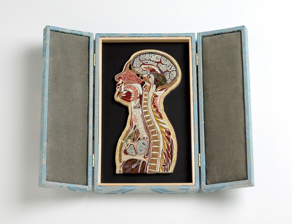 Тайная библиотека Художник Лиза Нильссон делает эти удивительные «анатомические» картины из бумаги. Если точнее, то она использует японскую декоративную тутовую бумагу и позолоченные края (!)