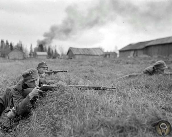 Лапландская война  конец Второй Мировой для Финляндии 