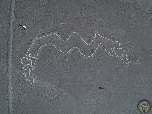 Новые геоглифы плато Наска. Исследователи из университета Ямагата (Япония) обнаружили на плато Наска в южном Перу 143 новых геоглифа, на которых изображены животные и другие существа, а также