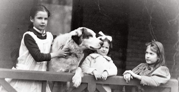 Дочери Марка Твена - Клара, Сюзи и Джейн Лэмптон «Джин» Клеменс. Марк Твен считал, что дети должны расти вместе с животными. Трем дочуркам он говорил, что животные гораздо интереснее людей, и