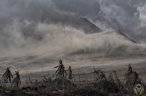 ФИЛИППИНЫ ПОД ПЕПЛОМ 50 оттенков серого так выглядели живописные ландшафты Филиппин после извержения вулкана Тааль в середине января этого года. Фоторепортаж.Вулкан Тааль в 70 км от филиппинской