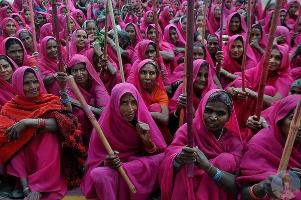 «Розовая банда» это группа женщин в розовых сари, с бамбуковыми палками Самая влиятельная банда Индии под руководством Сампат вершит правосудие, наказывая мужчин, бьющих своих жен, штурмуя