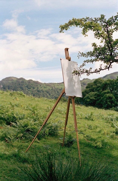 Британский художник Tim nowles дал возможность деревьям рисовать