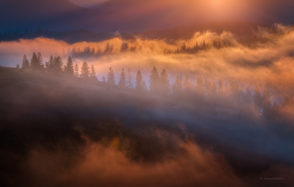 Туманный рассвет Фото: Александр Кукринов