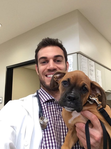 Эван Антин-ветеринар из Калифорнии Evan Antin 31-летний ветеринар из Калифорнии, покоривший интернет оригинальными фотографиями со своими пациентами, которые публикует в социальных сетях. В 2015